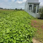 Bán đất thổ mặt tiền Tỉnh Lộ 833B Tân Trụ 200m² - 1 tỷ 499 triệu - Ảnh thu nhỏ 1