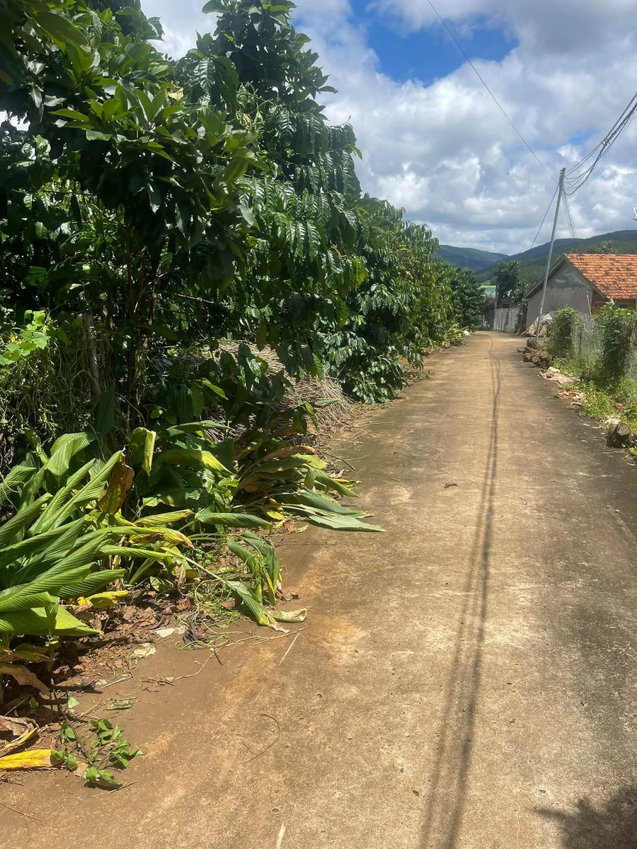 Bán đất 3.2 sào có 400m² thổ cư, mặt tiền 40m tại Mê Linh, Lâm Hà, Lâm Đồng - Ảnh 1