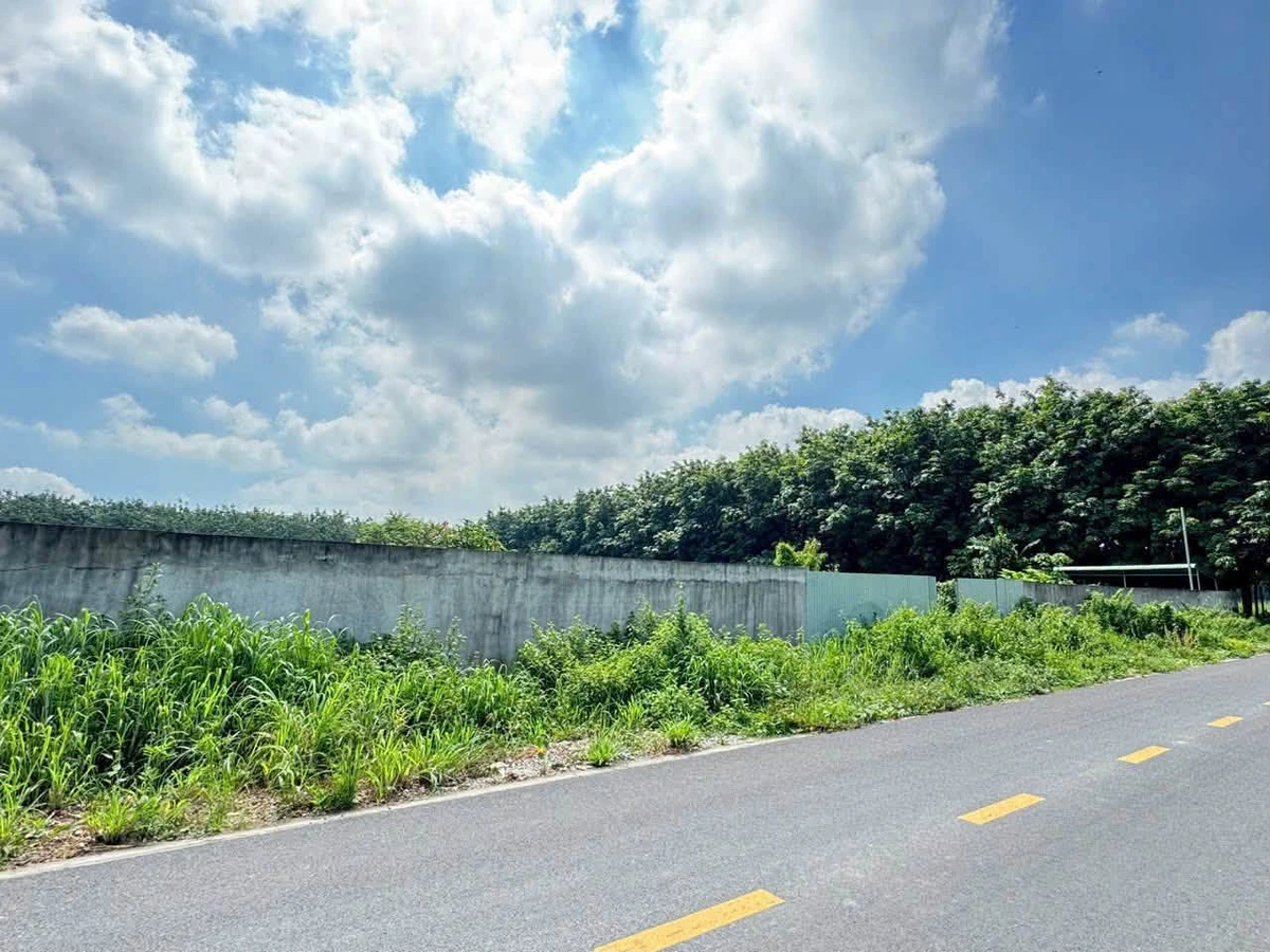 Bán đất mặt tiền Chánh Phú Hoà 3616m2 giá 9.04 tỷ - Ảnh 1