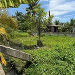 Bán đất 1000m² Ấp 8 Lương Hòa, Bến Lức, Long An - Ảnh thu nhỏ 5