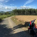Bán lô đất 6,2 sào trồng cà phê Ea Ral Đắk Lắk - Ảnh thu nhỏ 2