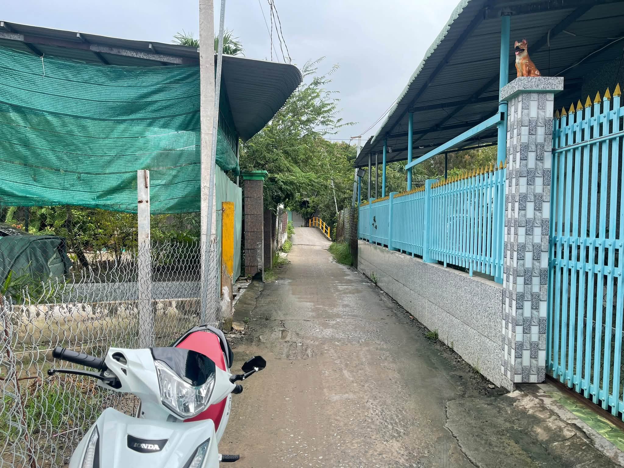 Bán đất thổ cư 106,7m² Mỹ Yên Tây Ninh 1,3 tỷ - Ảnh thu nhỏ 4