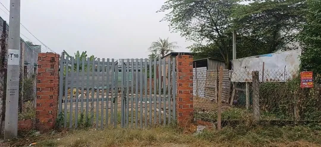 Bán đất nền 10×22m (220m²) ở Phước Văn, Long An - 1 tỷ 750 triệu - Ảnh thu nhỏ 4