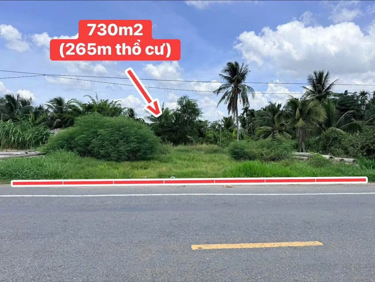 Bán đất mặt tiền HL173 730m2 Cần Giờ sổ hồng riêng - Ảnh 1