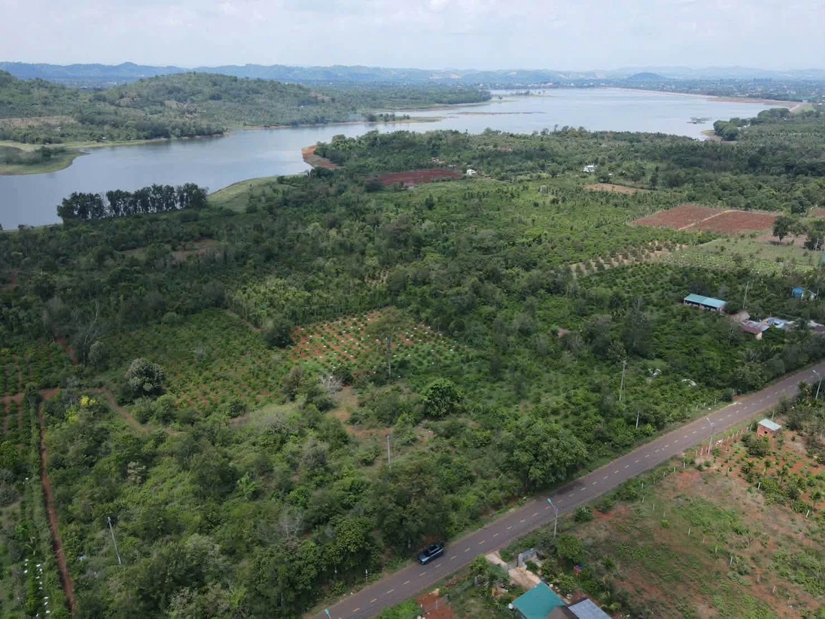 Bán đất nông nghiệp Phường Eakao Buôn Ma Thuột 6.550 m² 7,5 tỷ - Ảnh thu nhỏ 5