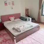 Bán nhà 3 tầng 40m² Hải Thành 1 giá 1 tỷ - Ảnh thu nhỏ 4