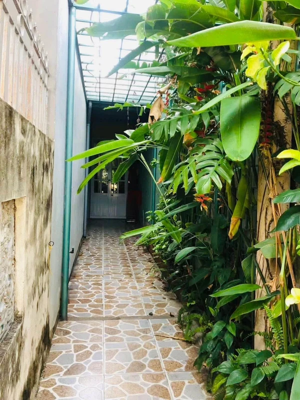 Bán đất 245m² Tô Hiến Thành Quy Nhơn, 10,2 tỷ