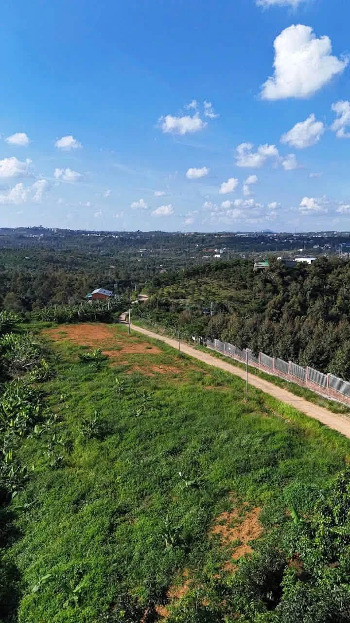 Bán lô đất 133m² view núi và TP Bảo Lộc, Lâm Đồng - Ảnh 1