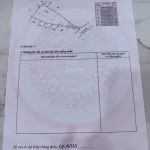 Nhà vườn siêu đẹp 392,4m2 có 180m2 thổ cư. Phù hợp xây nhà vườn nghỉ dưỡng! - Ảnh thu nhỏ 8
