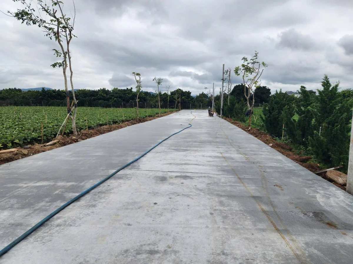 Bán đất Liên Nghĩa 75 m² 1,25 tỷ - Ảnh 1