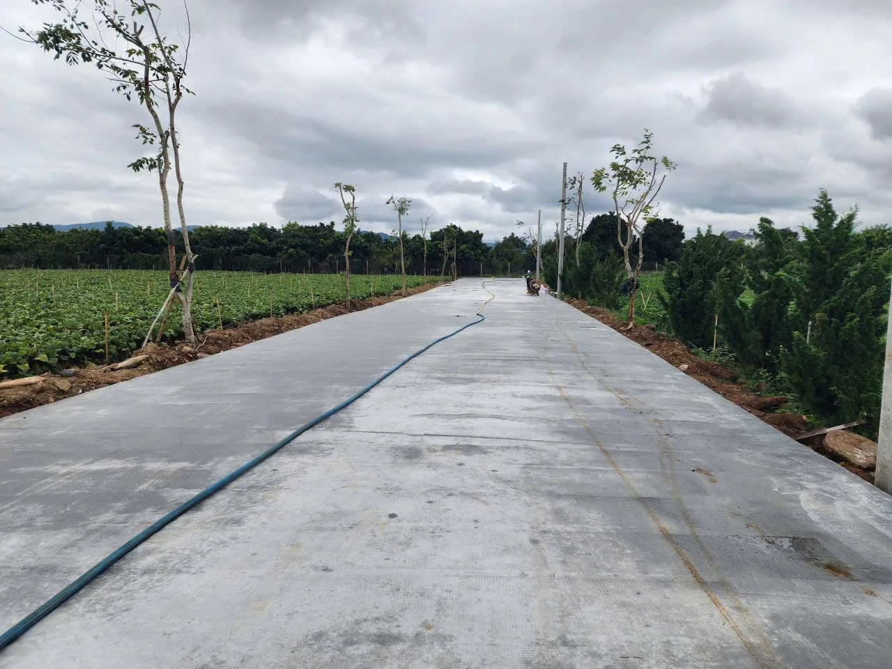Bán đất Liên Nghĩa 75 m² 1,25 tỷ - Ảnh 1