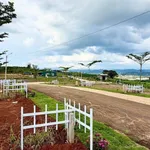 Bán đất 1.000m² giá 550 triệu, sổ riêng tại Đinh Văn, Lâm Hà, Lâm Đồng - Ảnh thu nhỏ 4