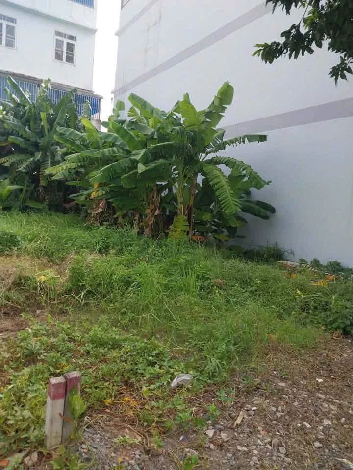 Bán đất 140m2 đường Lê Thị Riêng, Quận 12 - 8 tỷ 900 - Ảnh thu nhỏ 3