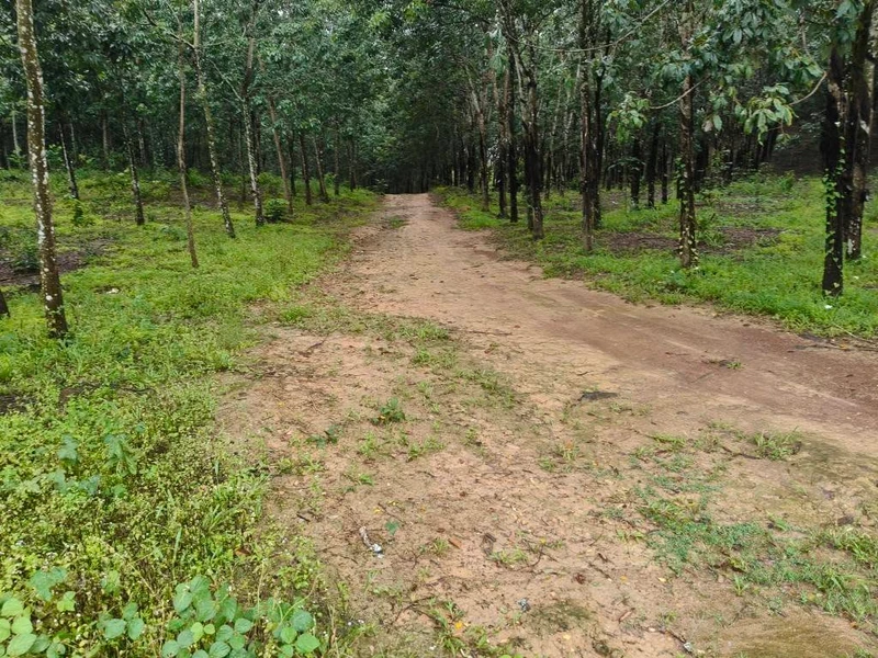Bán lô đất cao su 5.6 ha Phú Trung Đồng Nai