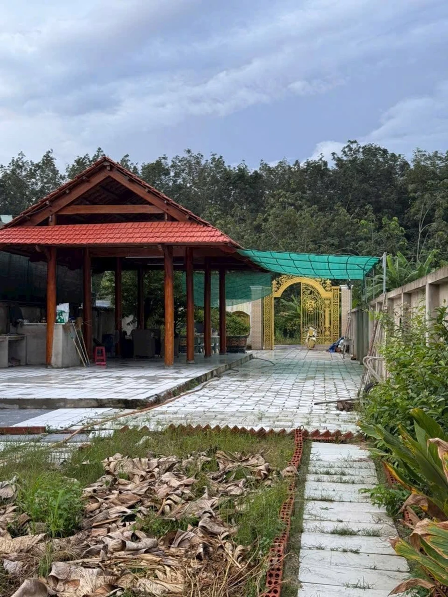 Bán đất vườn mặt tiền 493m2 Tân Hiệp, Tân Uyên 3,3 tỷ - Ảnh thu nhỏ 2