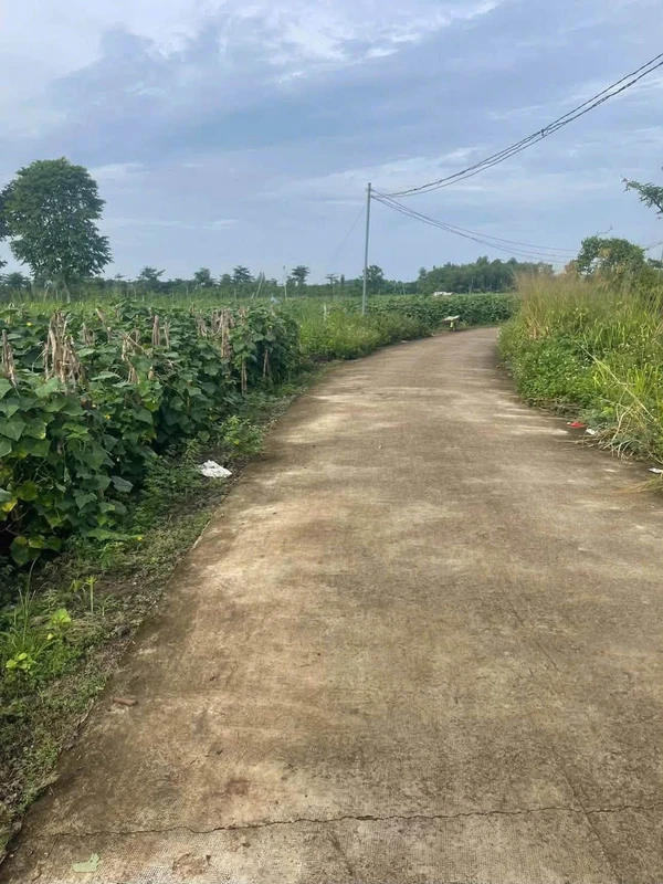 Bán đất 1500m² mặt tiền Xuân Tây, Đồng Nai, 800 triệu
