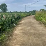 Bán đất 1500m² mặt tiền Xuân Tây, Đồng Nai, 800 triệu - Ảnh thu nhỏ 1
