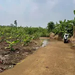 Bán đất 6600m² sổ riêng Đường 769, Bình Dương - Ảnh thu nhỏ 4
