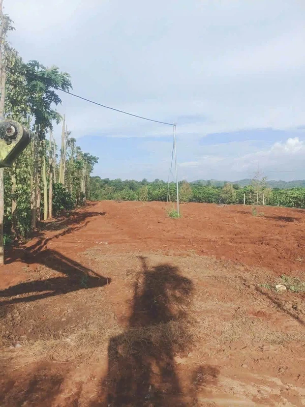 Bán đất 4,2 sào tại Ea Kao, Đắk Lắk giá 1 tỷ 850 triệu gần Trường Tiểu học La Văn Cầu