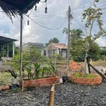 Bán đất 134,8m2 gần cầu Bà Tượng, Tân Trạch, giá 750 triệu - Ảnh thu nhỏ 1