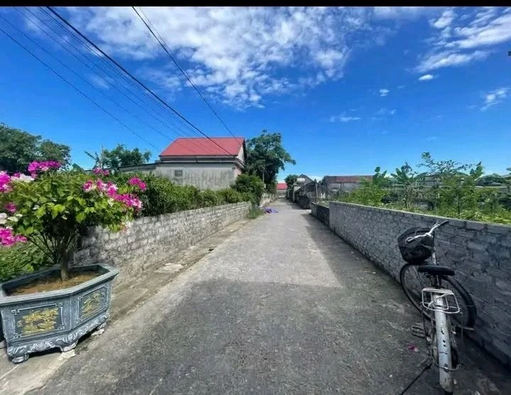 Bán đất Vinh Hưng 65m2, 900 triệu - Ảnh thu nhỏ 2