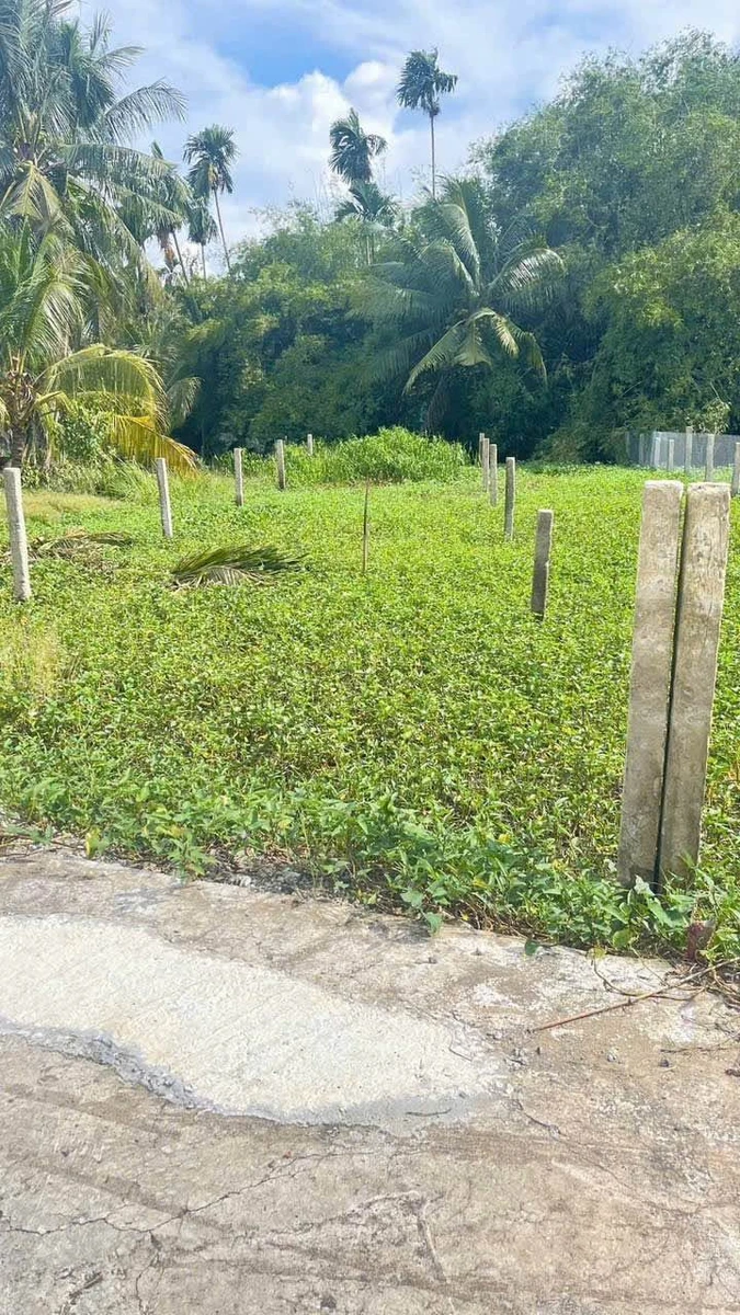 Bán đất thổ cư 5x38m giá 350 triệu tại Hiệp Thạnh, Châu Thành, Long An - Ảnh thu nhỏ 2