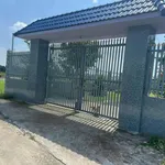 Bán đất vườn 800m² mặt tiền Bến Lức, Long An - Ảnh thu nhỏ 2