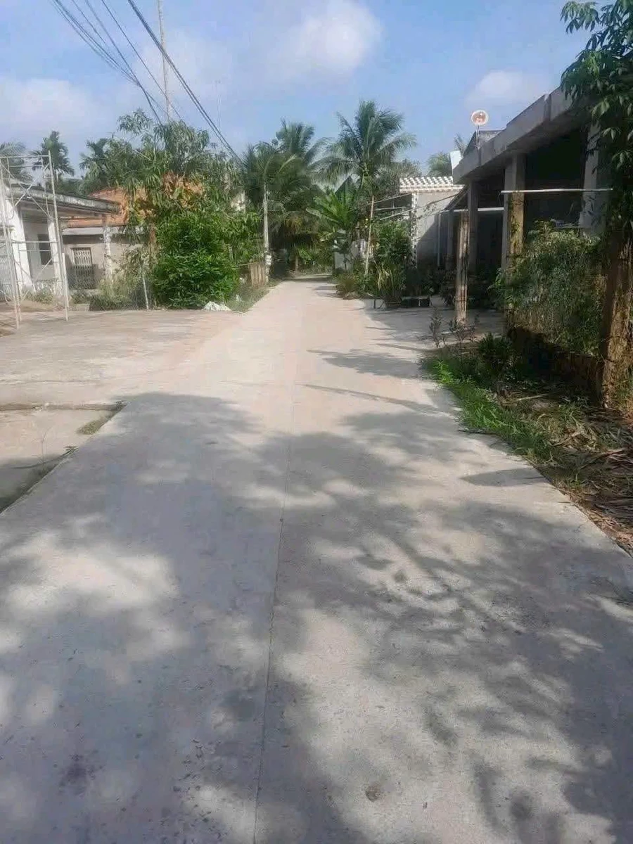 Bán đất mặt tiền Lương Hòa 737m² Bình Chánh - Ảnh 1