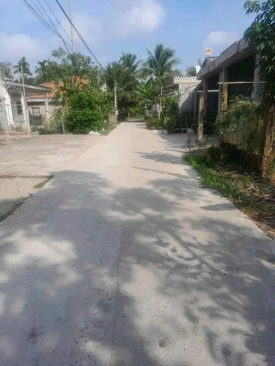 Bán đất mặt tiền Lương Hòa 737m² Bình Chánh - Ảnh 1