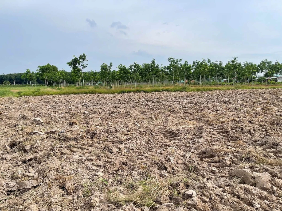 Bán đất gò cao 400 m² tại Châu Thành, Tây Ninh 1 tỷ 50 triệu - Ảnh thu nhỏ 2