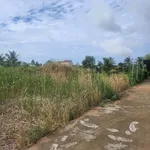 Bán nền 100m2 Bình Chánh 740 triệu - Ảnh thu nhỏ 2
