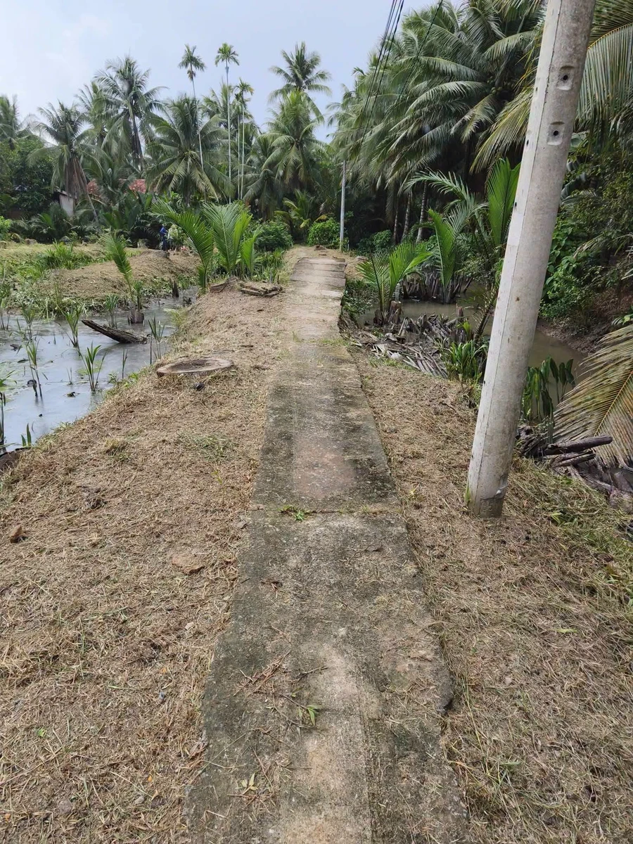 Bán đất Tân Thanh 51m², 300 triệu - Ảnh thu nhỏ 5