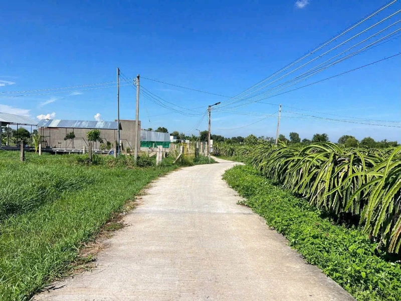 Bán đất 839m² mặt tiền Phan Thiết 479 triệu