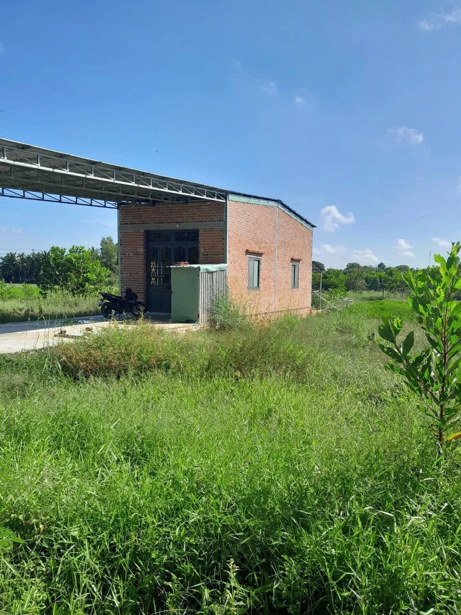 Bán nhà 1 phòng ngủ 310m² Bình Tân 270 triệu - Ảnh 1
