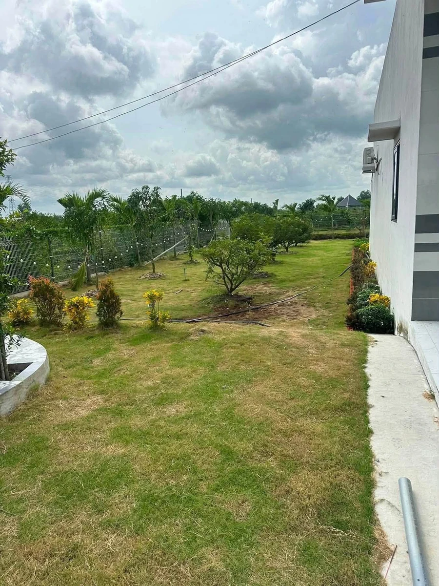 Bán nhà vườn lô góc 2 mặt tiền kênh gần 1.000m2 tại Tân Thành, Thủ Thừa, Long An - Ảnh thu nhỏ 4