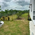 Bán nhà vườn lô góc 2 mặt tiền kênh gần 1.000m2 tại Tân Thành, Thủ Thừa, Long An - Ảnh thu nhỏ 4