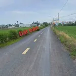 Bán đất thổ cư 130m2 mặt tiền Nguyễn Quang Đại, Cần Đước, Long An - Ảnh thu nhỏ 5