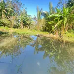 Bán đất 1.200m² Ô Việt Ê Pan Bình Chánh - Ảnh thu nhỏ 3