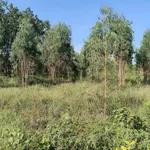 Bán 2,4ha đất Bình Thuận 1 tỷ 470 triệu - Ảnh thu nhỏ 3