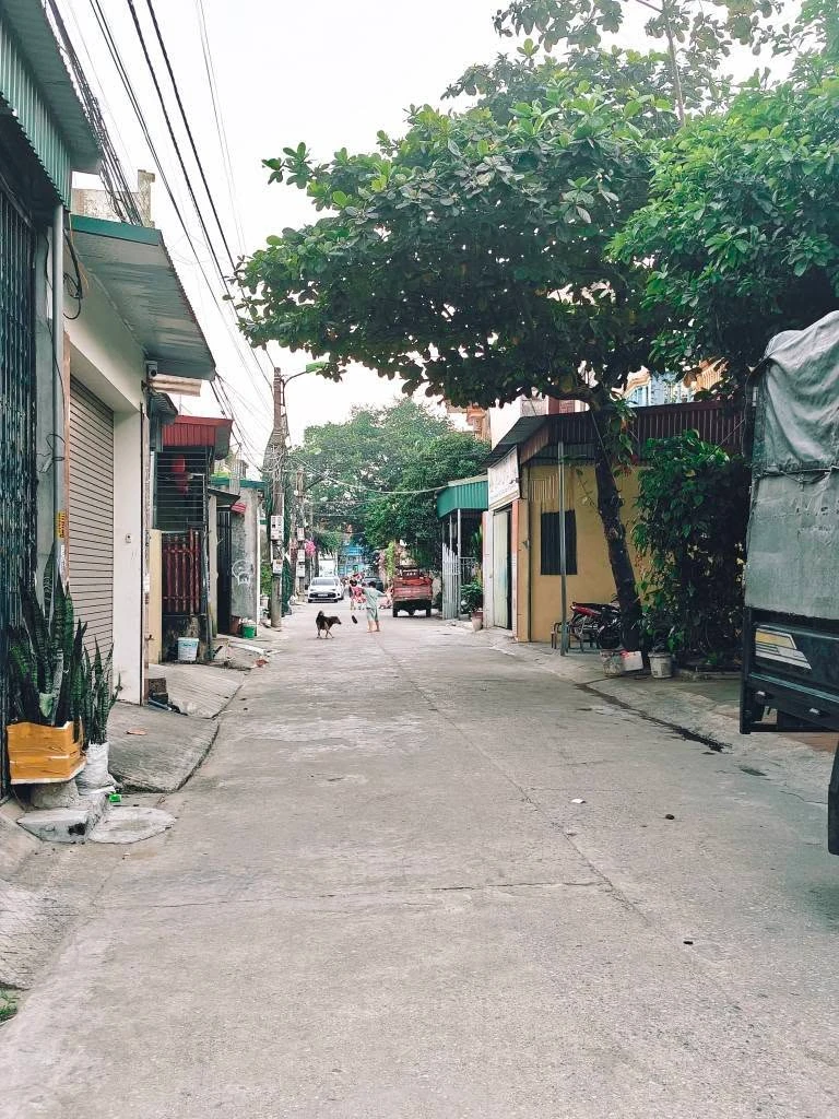 Bán lô đất 80m2 mặt tiền gần Nguyễn Công Trứ, Ninh Bình - Ảnh thu nhỏ 4
