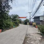 Bán 4800m2 đất vườn trồng dừa, chanh, ổi giá 1,9 tỷ tại xã Thạnh Lợi, Tây Ninh - Ảnh thu nhỏ 2