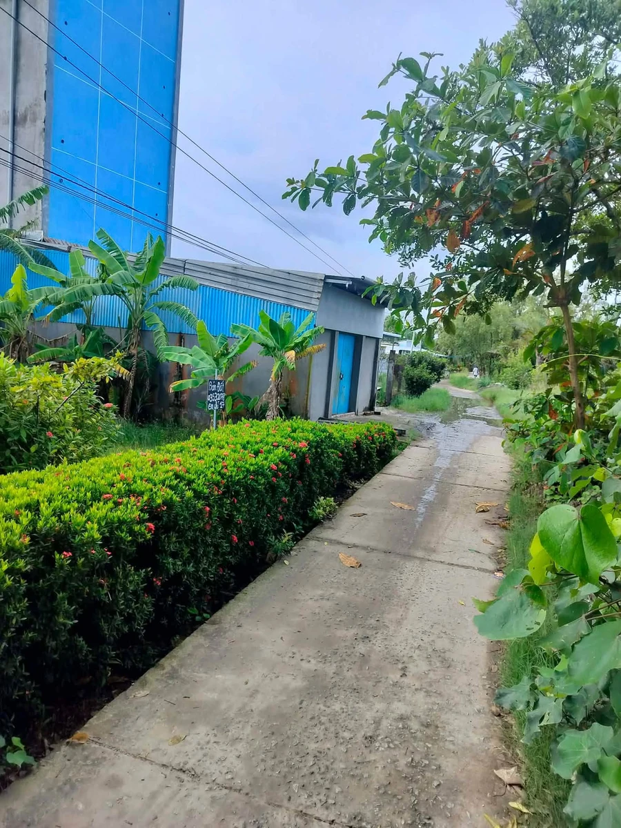 Bán đất nền ngang 8m dài 30m có thổ cư tại Kinh Dài Tây, An Giang - Ảnh thu nhỏ 4