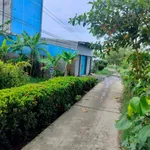 Bán đất nền ngang 8m dài 30m có thổ cư tại Kinh Dài Tây, An Giang - Ảnh thu nhỏ 4