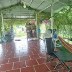 Bán nhà vườn 1000m² xã Long Thuận Tây Ninh - Ảnh thu nhỏ 3