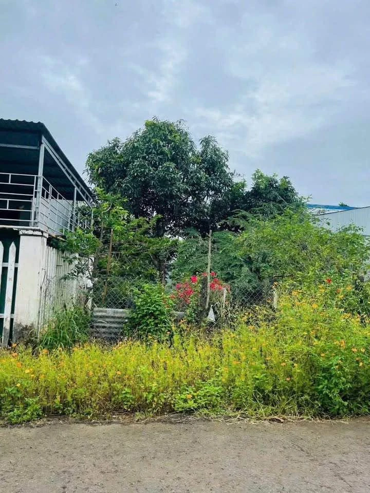 Bán lô đất 125m² hẻm 113 Nguyễn Cơ Thạch 1tỷ230tr - Ảnh thu nhỏ 3