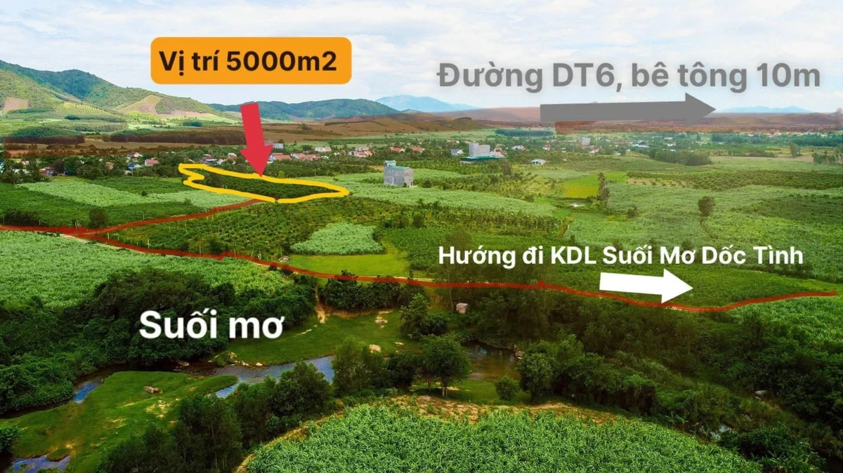 Bán đất vườn 5.000m² Khánh Hòa gần suối, sổ hồng - Ảnh thu nhỏ 2