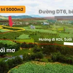 Bán đất vườn 5.000m² Khánh Hòa gần suối, sổ hồng - Ảnh thu nhỏ 2