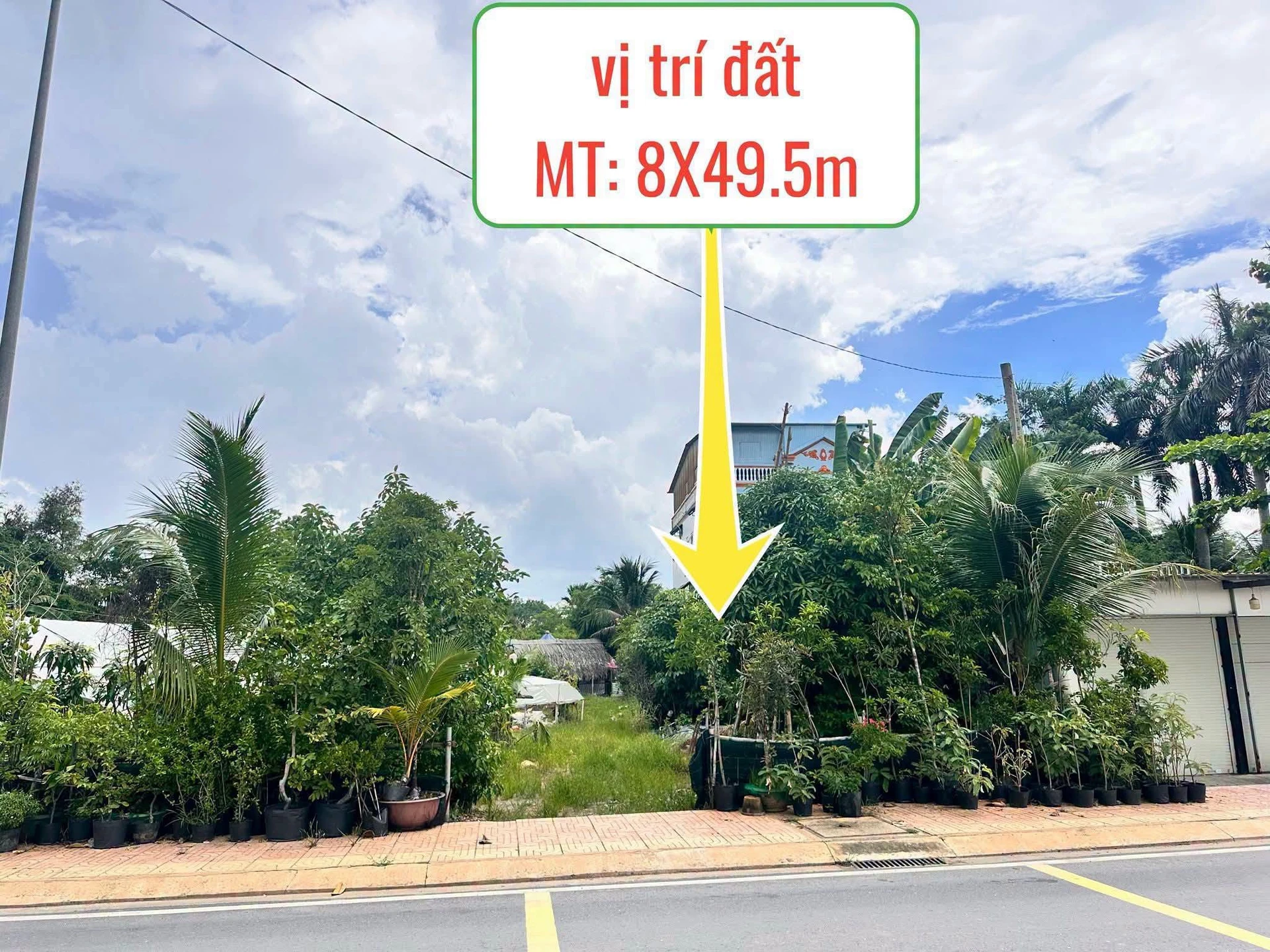 Bán đất mặt tiền Long Phước Thủ Đức 393.6m² - Ảnh 1