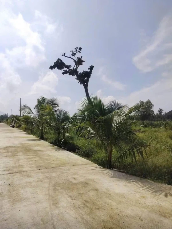 Bán 500 m² đất Bảo Vinh, Long Khánh