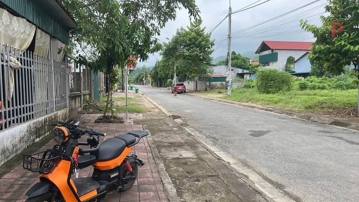 Bán nhà cấp 4 300m2 Lào Cai, 5 phòng ngủ, 3 tỷ - Ảnh thu nhỏ 3